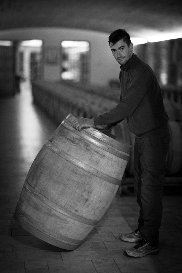 Il Roncal Wine Resort - For Wine Lovers Cividale del Friuli المظهر الخارجي الصورة
