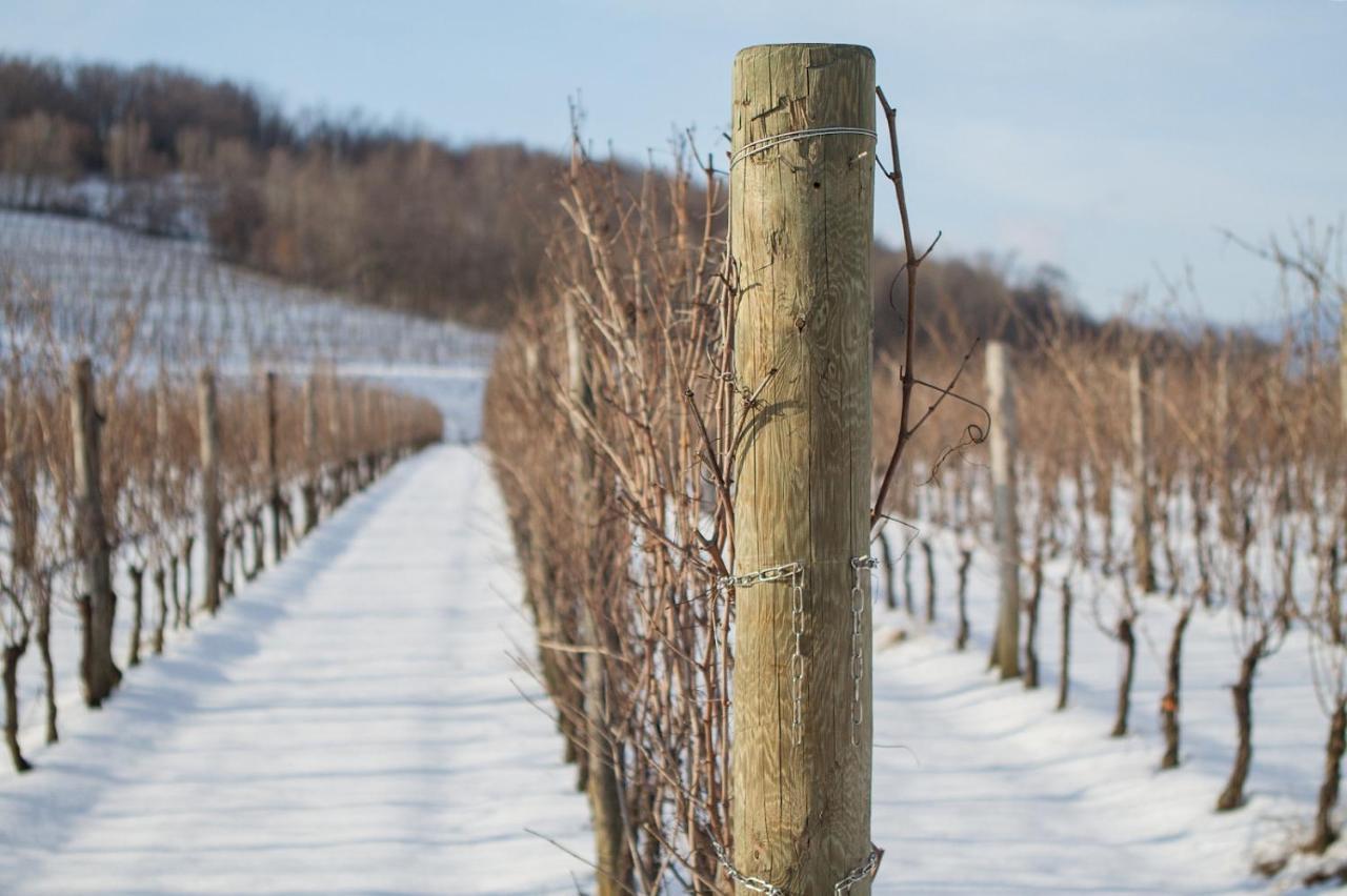 Il Roncal Wine Resort - For Wine Lovers Cividale del Friuli المظهر الخارجي الصورة