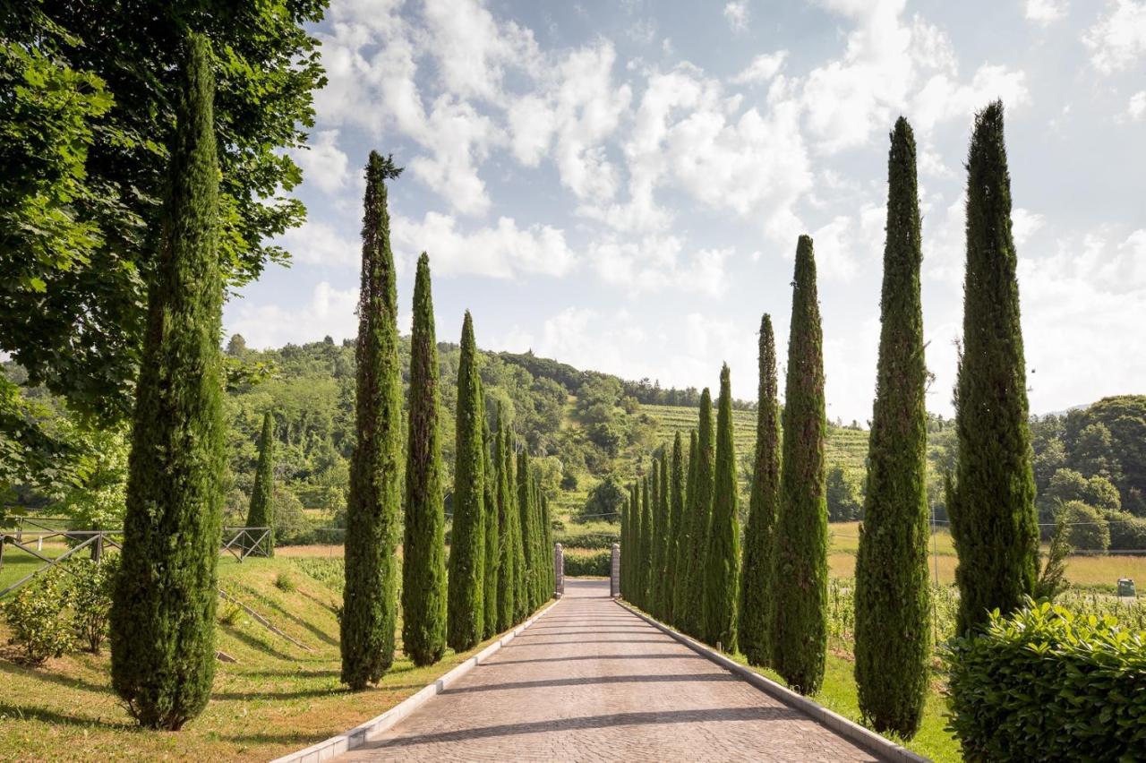Il Roncal Wine Resort - For Wine Lovers Cividale del Friuli المظهر الخارجي الصورة