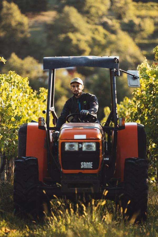 Il Roncal Wine Resort - For Wine Lovers Cividale del Friuli المظهر الخارجي الصورة
