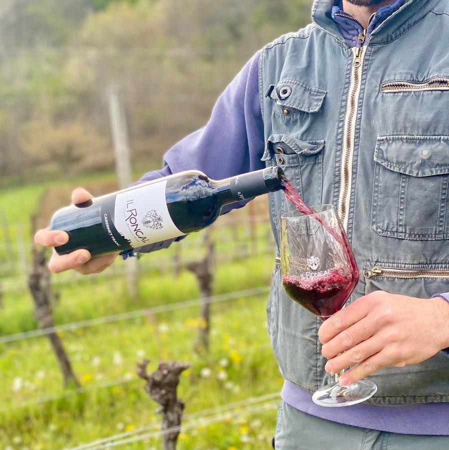 Il Roncal Wine Resort - For Wine Lovers Cividale del Friuli المظهر الخارجي الصورة