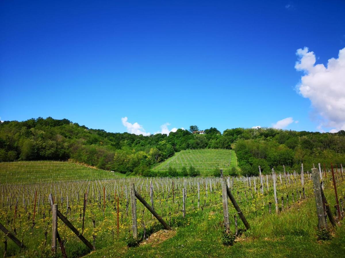 Il Roncal Wine Resort - For Wine Lovers Cividale del Friuli المظهر الخارجي الصورة