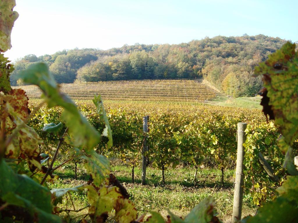 Il Roncal Wine Resort - For Wine Lovers Cividale del Friuli المظهر الخارجي الصورة